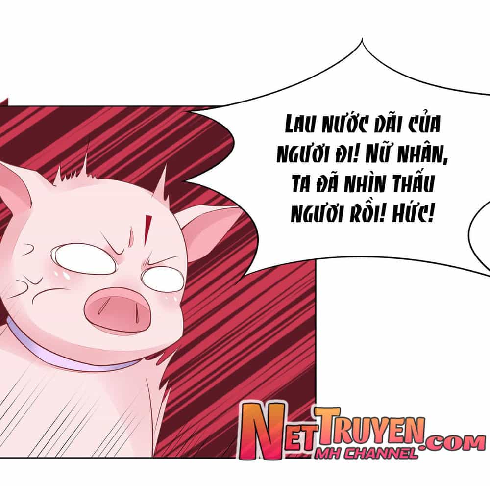 Chi Tôn Đồng Thuật Sư: Tuyệt Thế Đại Tiểu Thư - Chương 25 - ảnh 12