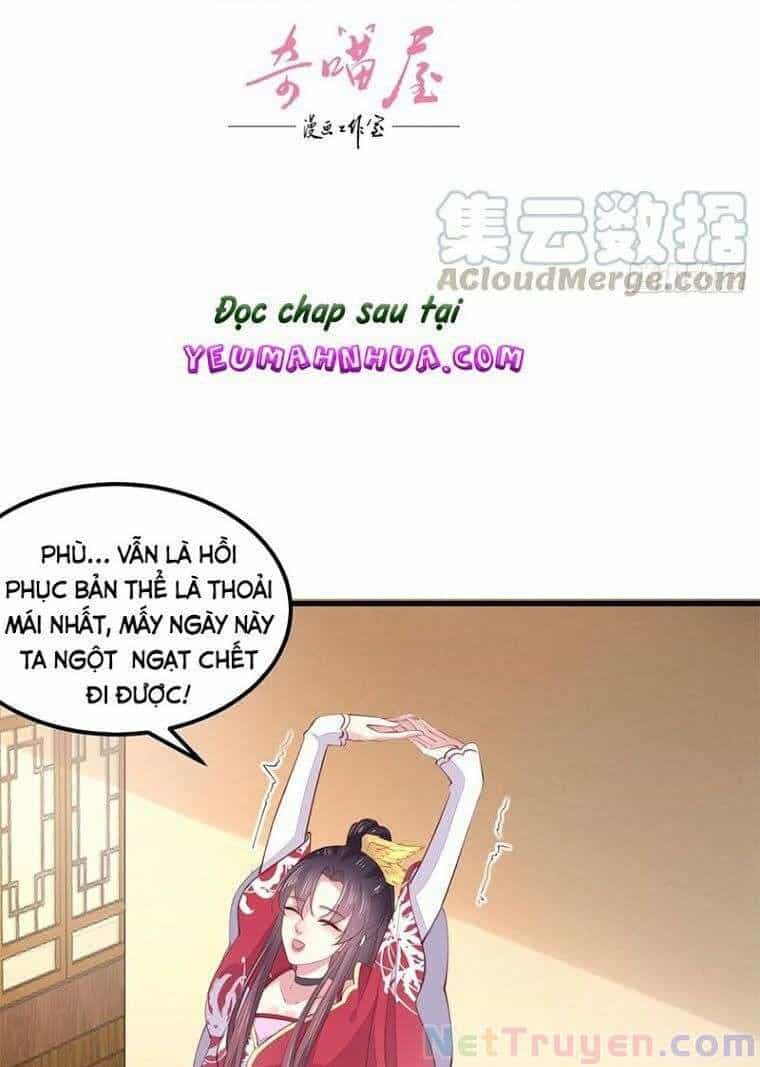Chi Tôn Đồng Thuật Sư: Tuyệt Thế Đại Tiểu Thư - Chương 261 - ảnh 3