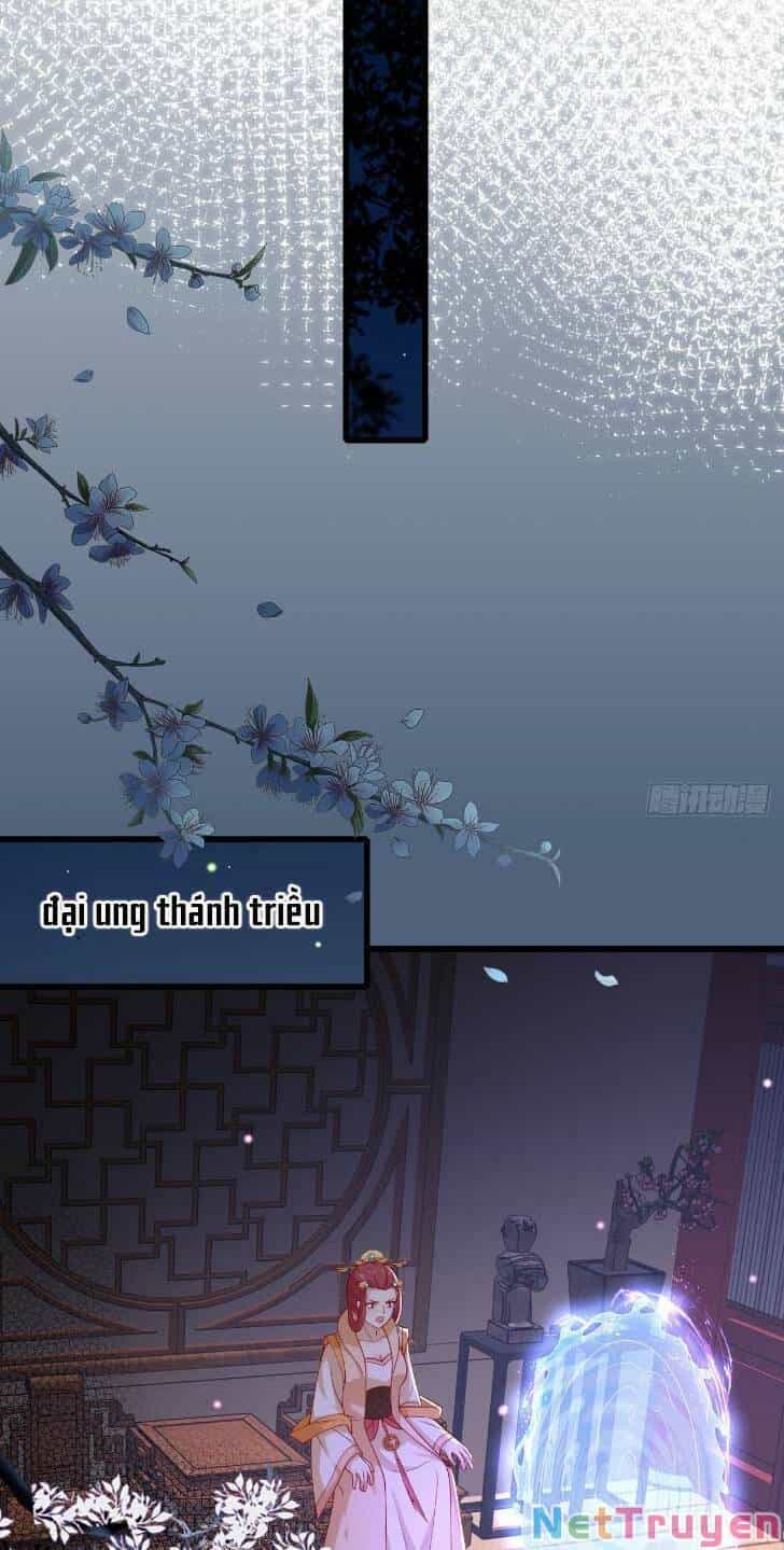 Chi Tôn Đồng Thuật Sư: Tuyệt Thế Đại Tiểu Thư - Chương 356 - ảnh 18