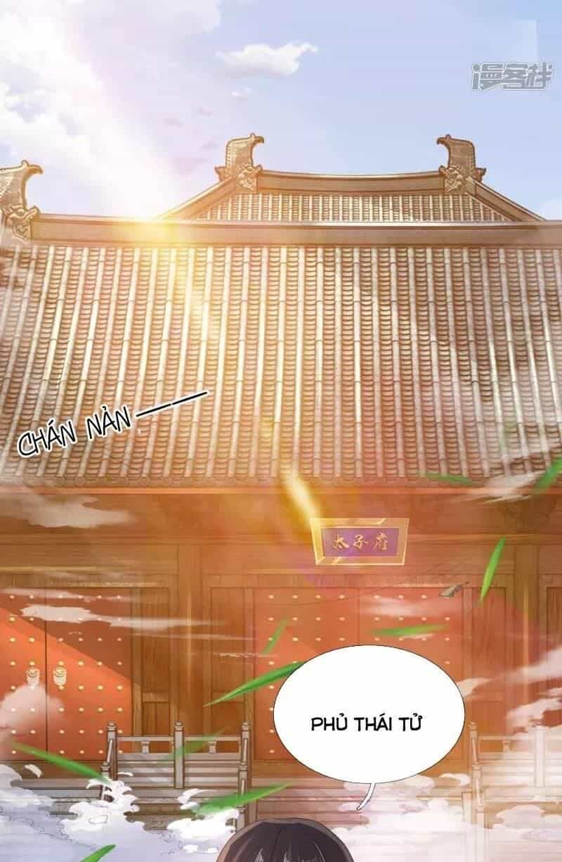 Chí Tôn Hồng Bao Hoàng Đế - Chương 10 - ảnh 5