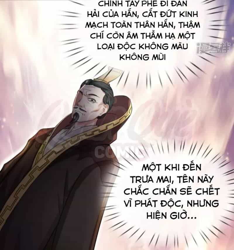 Chí Tôn Hồng Bao Hoàng Đế - Chương 2 - ảnh 23