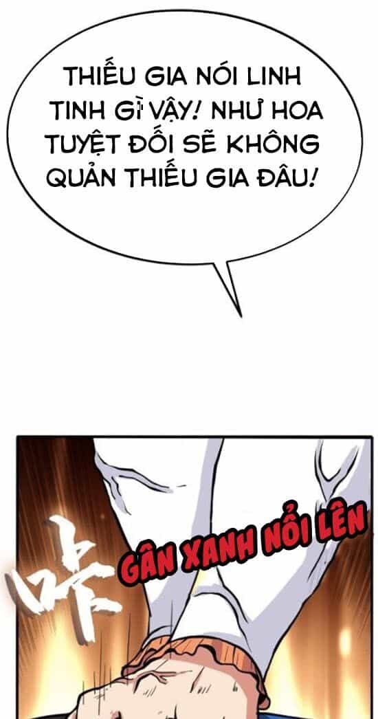 Chí Tôn Thổ Hào Hệ Thống - Chương 2 - ảnh 17