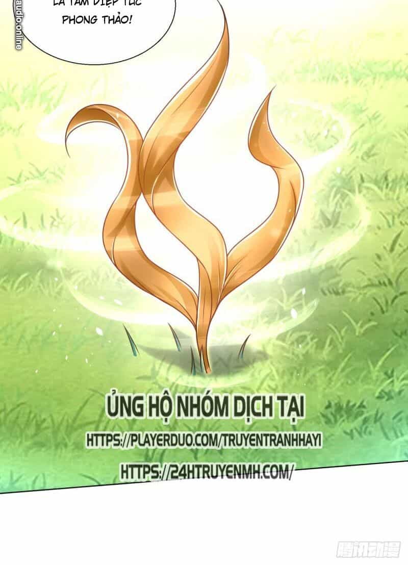 Chí Tôn Trọng Sinh - Chương 88 - ảnh 34