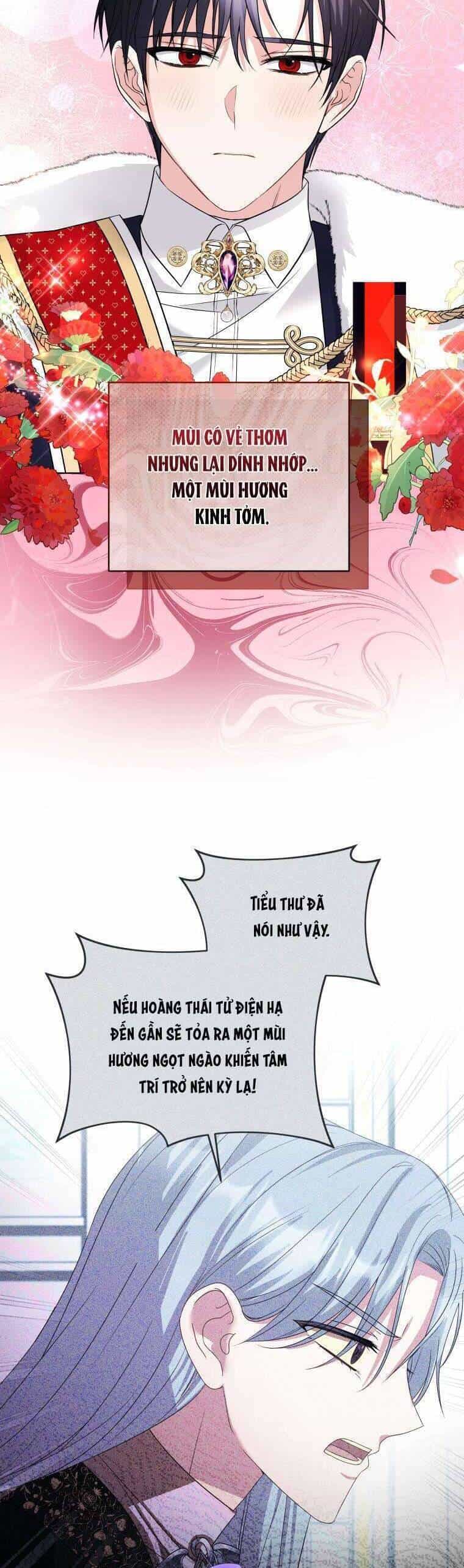 Chiếc Túi Bí Mật Của Tiểu Thư Xấu Xí - Chương 57 - ảnh 27