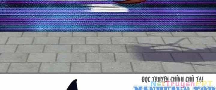 Chiếm Cái Đỉnh Núi Làm Đại Vương - Chương 163 - ảnh 47