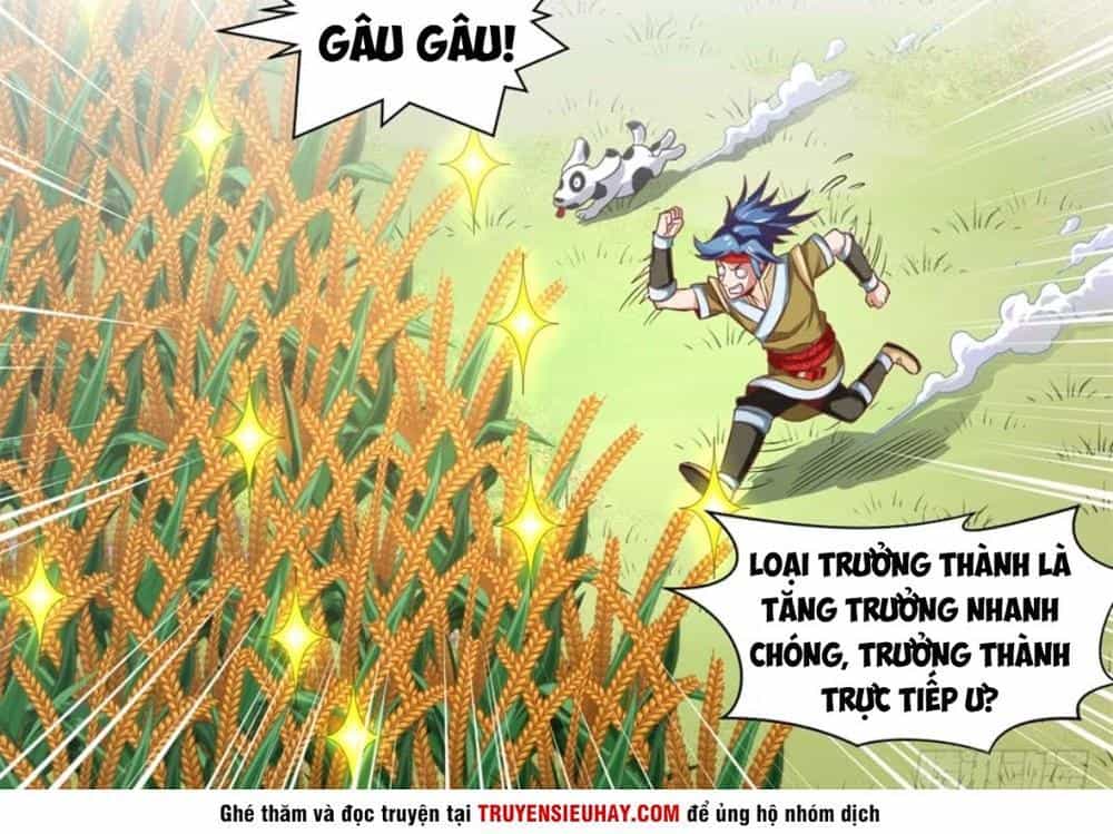 Chiếm Cái Đỉnh Núi Làm Đại Vương - Chương 2 - ảnh 27
