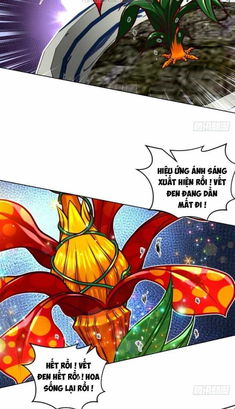 Chiếm Cái Đỉnh Núi Làm Đại Vương - Chương 42 - ảnh 8
