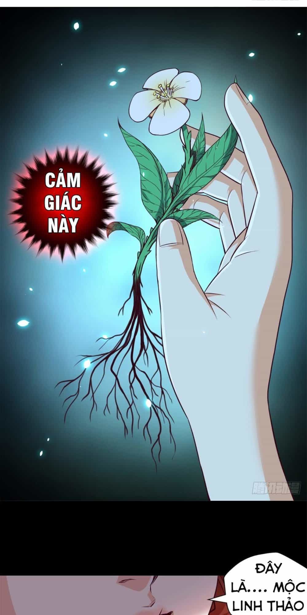 Chiếm Cái Đỉnh Núi Làm Đại Vương - Chương 5 - ảnh 38