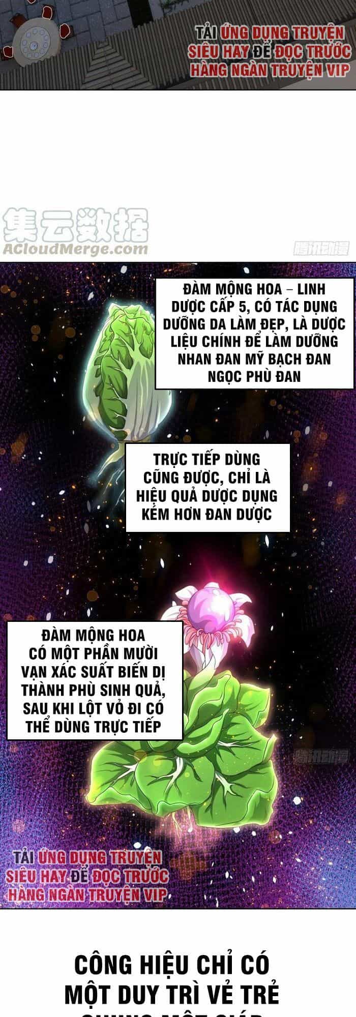 Chiếm Cái Đỉnh Núi Làm Đại Vương - Chương 93 - ảnh 10