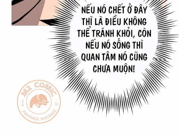 Chiến Binh Quật Cường - Chương 42 - ảnh 25