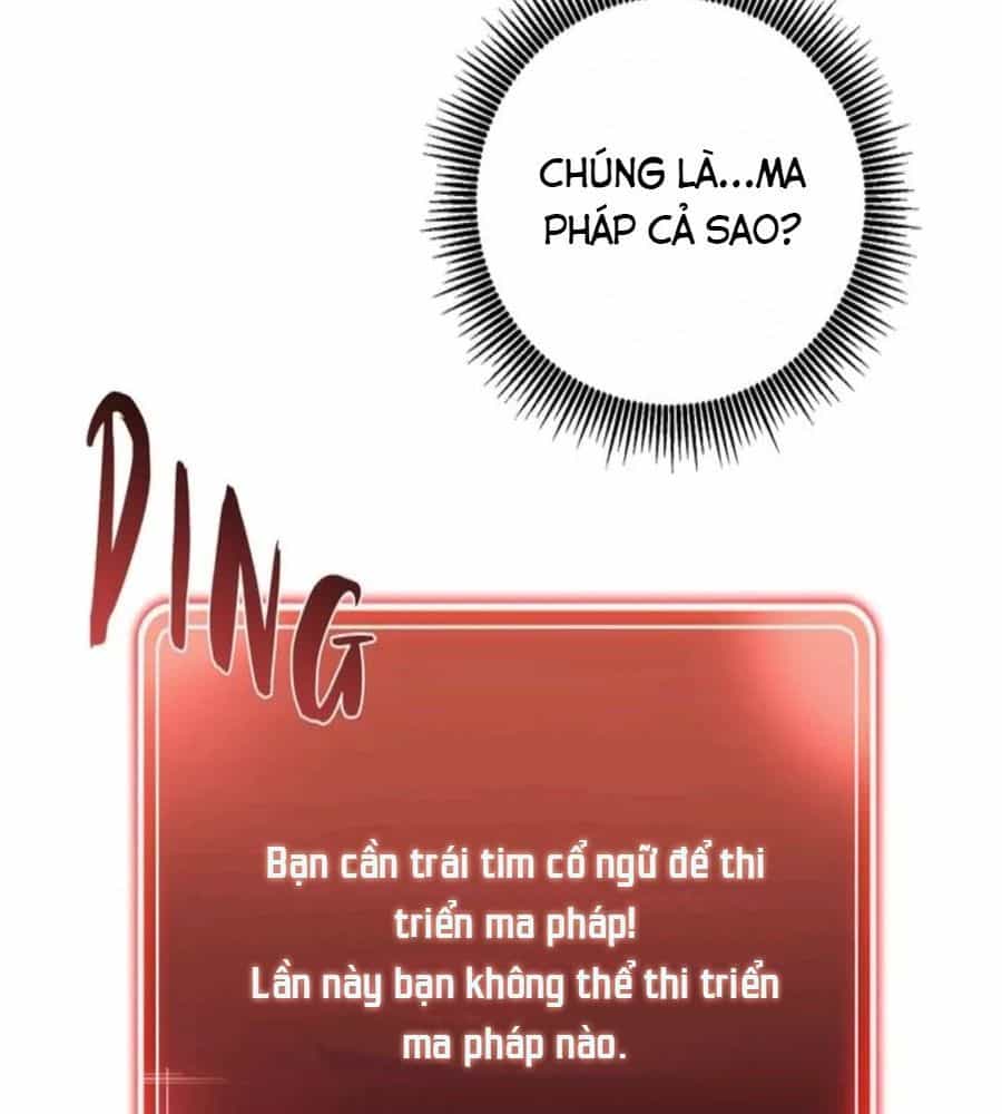 Chiến Binh Xương Trắng Thất Thủ - Chương 68 - ảnh 25