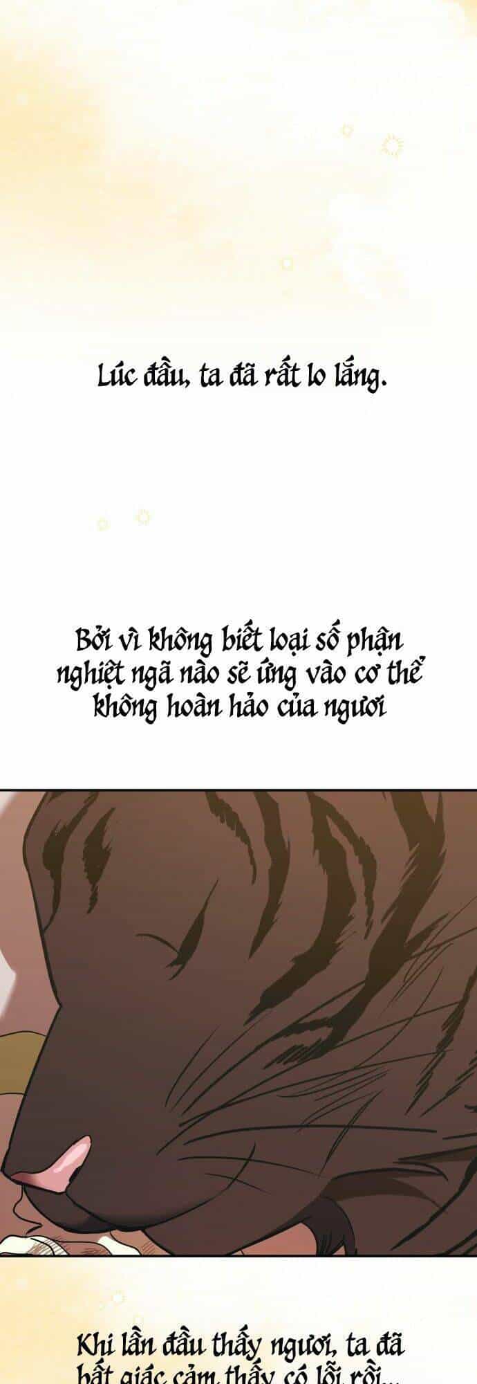 Chiến Lược Săn Hổ Của Nữ Thần - Chương 18 - ảnh 76