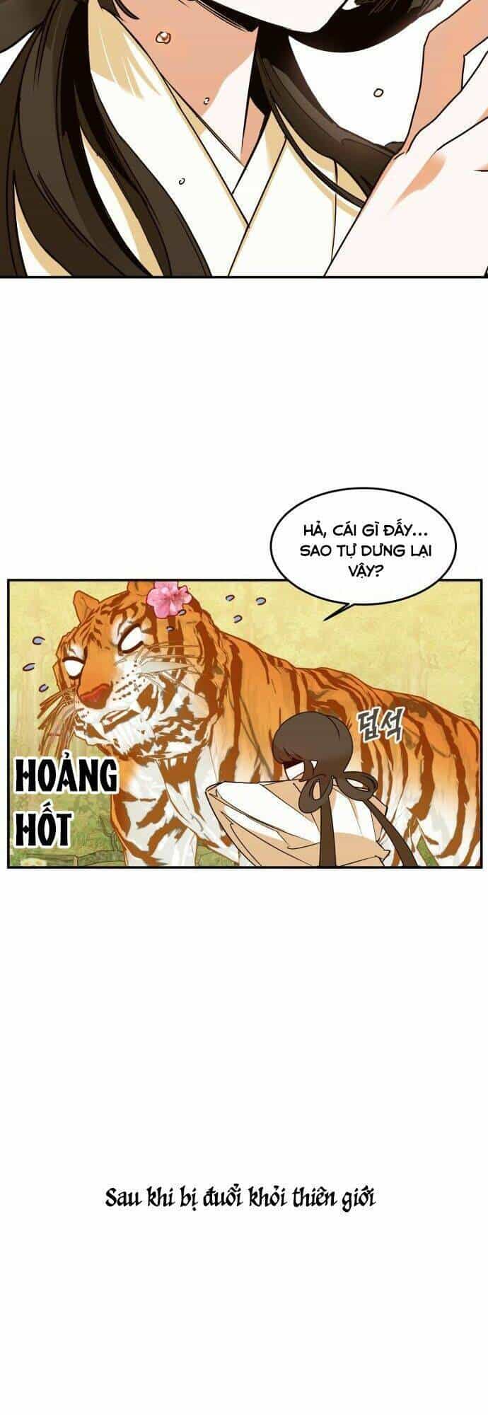 Chiến Lược Săn Hổ Của Nữ Thần - Chương 3 - ảnh 21