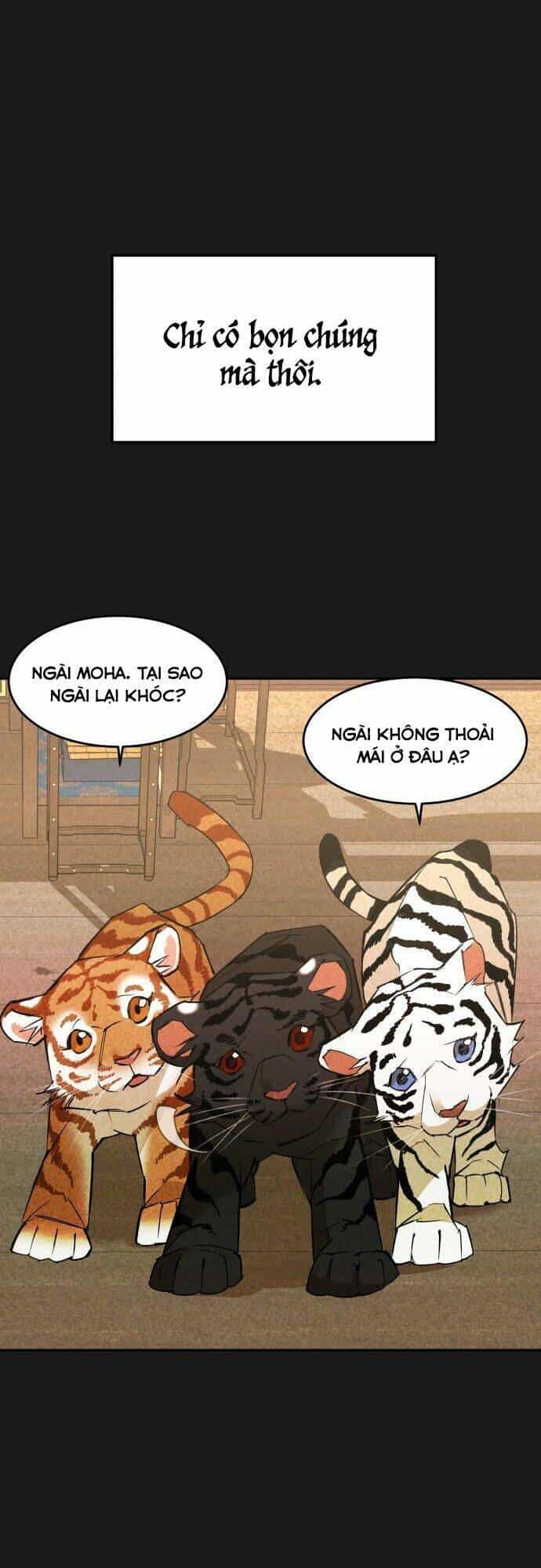 Chiến Lược Săn Hổ Của Nữ Thần - Chương 3 - ảnh 29
