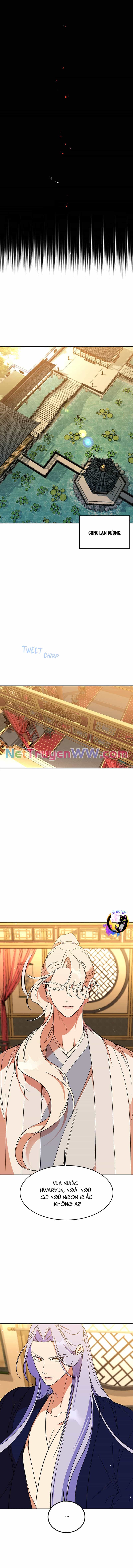Chiến Lược Săn Hổ Của Nữ Thần - Chương 58 - ảnh 6