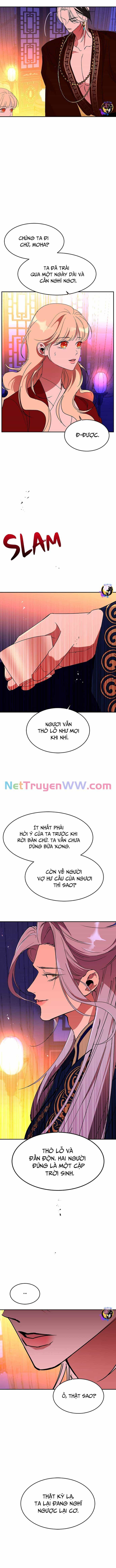 Chiến Lược Săn Hổ Của Nữ Thần - Chương 64 - ảnh 11
