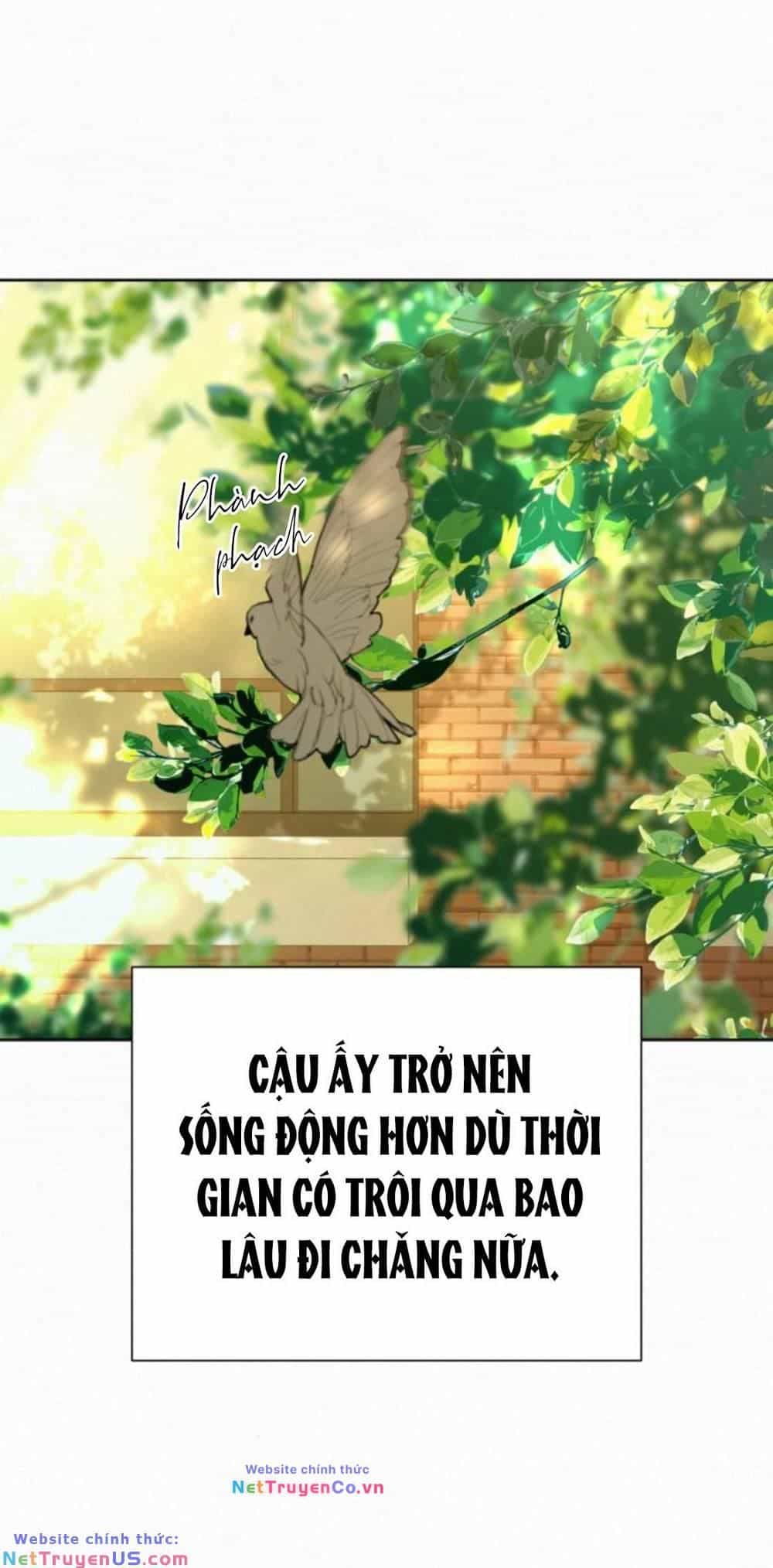 Chiến Lược: Tình Yêu Trong Sáng - Chương 82 - ảnh 48