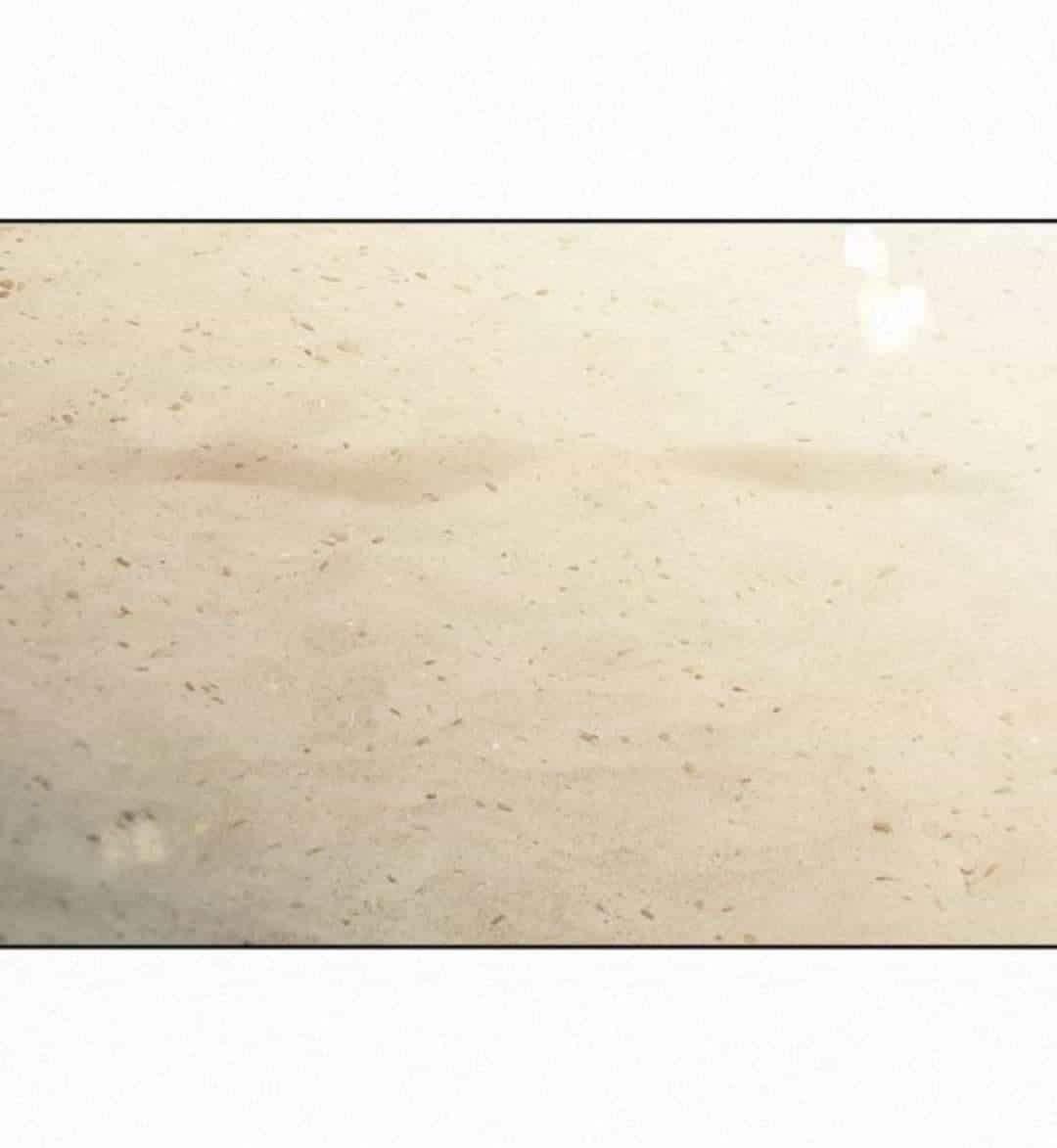 Chiến Lược: Tình Yêu Trong Sáng - Chương 85 - ảnh 132