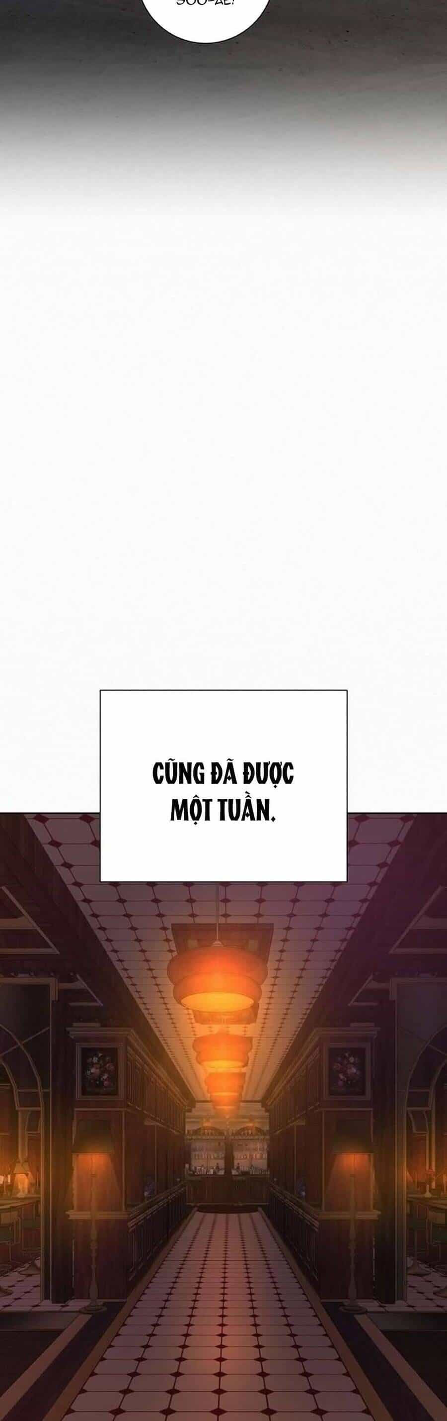 Chiến Lược: Tình Yêu Trong Sáng - Chương 104 - ảnh 54