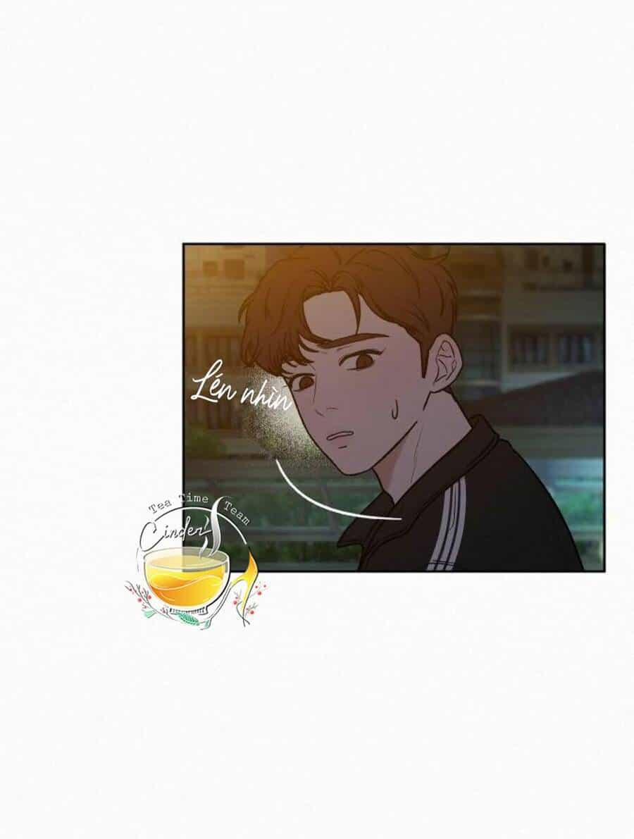 Chiến Lược: Tình Yêu Trong Sáng - Chương 22 - ảnh 19