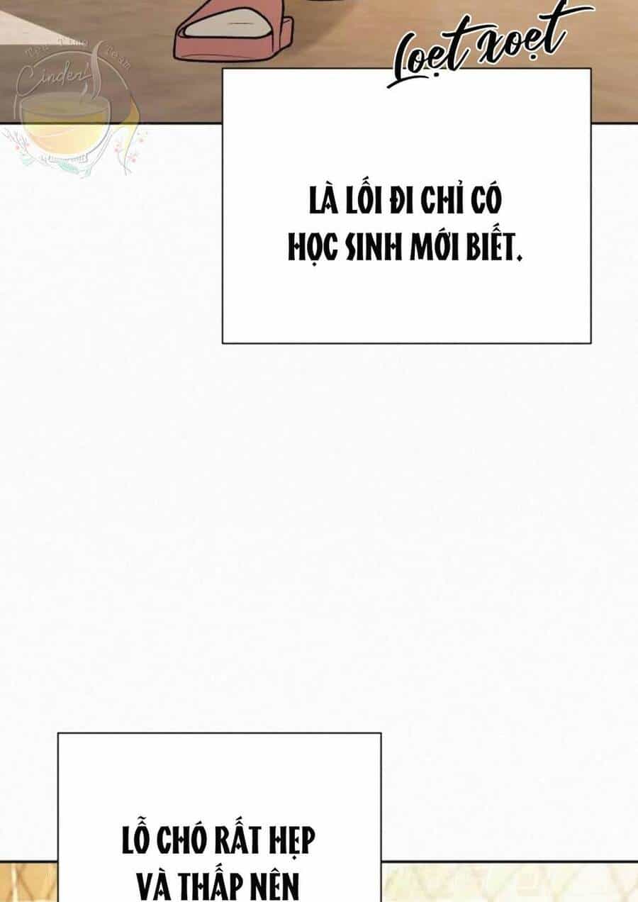 Chiến Lược: Tình Yêu Trong Sáng - Chương 44 - ảnh 59
