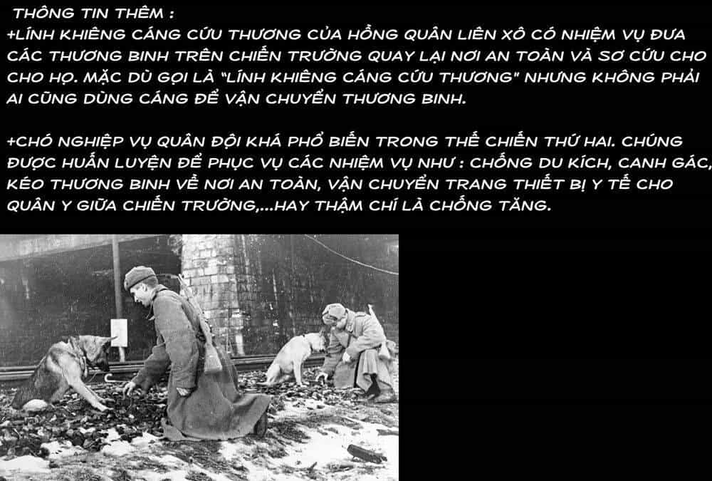 Chiến Tranh Không Có Một Khuôn Mặt Phụ Nữ - Chương 4 - ảnh 18