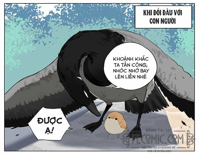 Chim Sẻ Gọi Ngỗng Trời - Chương 17 - ảnh 3