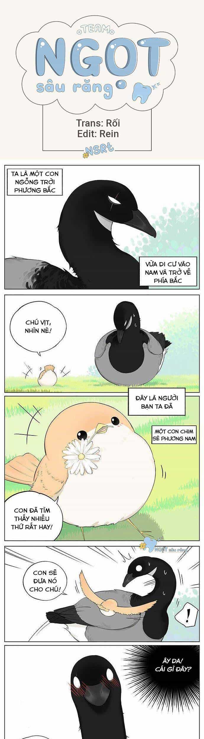 Chim Sẻ Gọi Ngỗng Trời - Chương 21 - ảnh 1