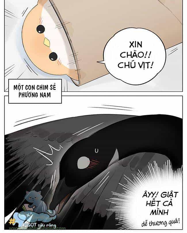 Chim Sẻ Gọi Ngỗng Trời - Chương 3 - ảnh 2