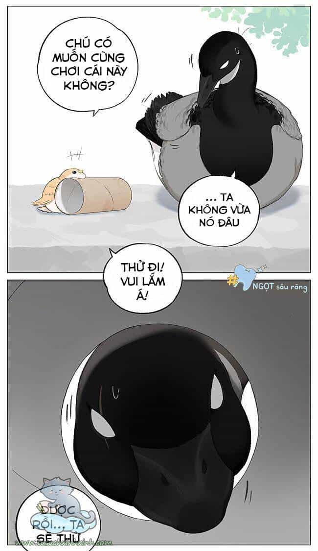 Chim Sẻ Gọi Ngỗng Trời - Chương 3 - ảnh 3