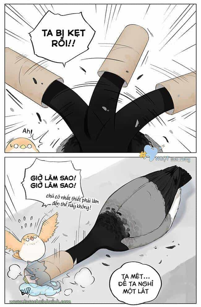 Chim Sẻ Gọi Ngỗng Trời - Chương 3 - ảnh 5