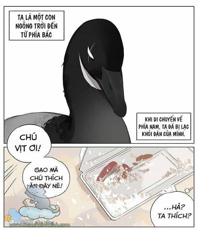 Chim Sẻ Gọi Ngỗng Trời - Chương 4 - ảnh 2