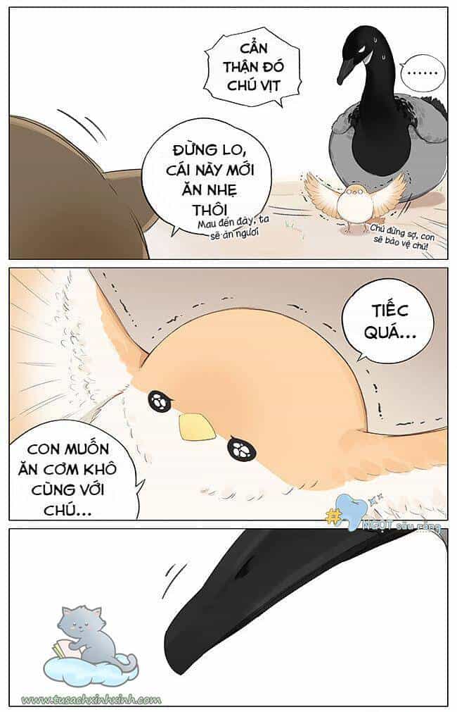 Chim Sẻ Gọi Ngỗng Trời - Chương 4 - ảnh 6