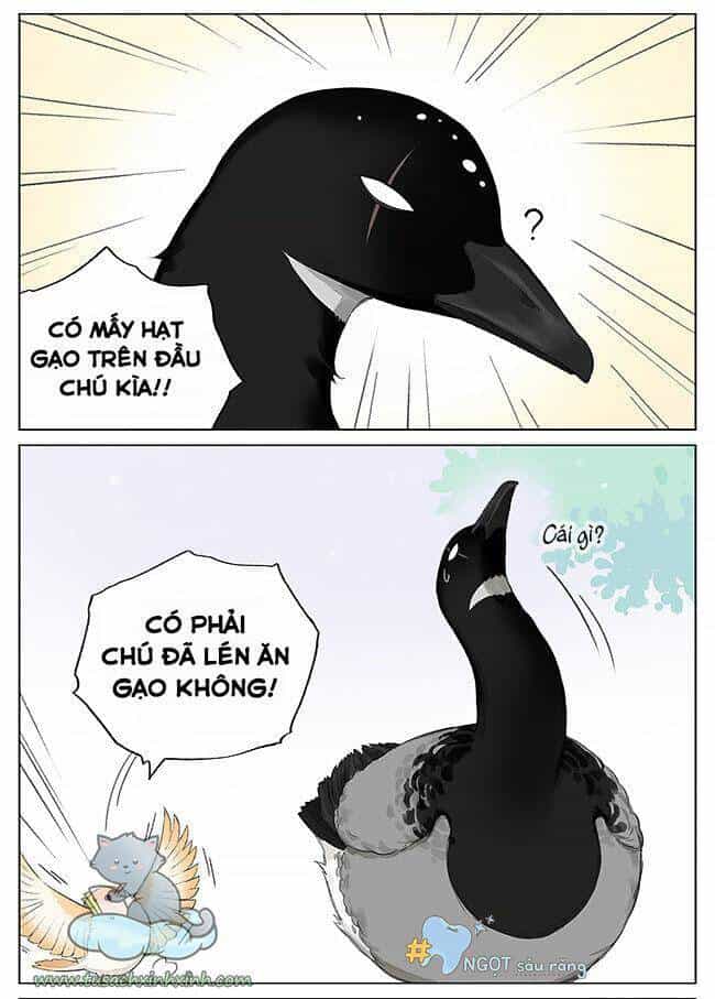 Chim Sẻ Gọi Ngỗng Trời - Chương 5 - ảnh 3