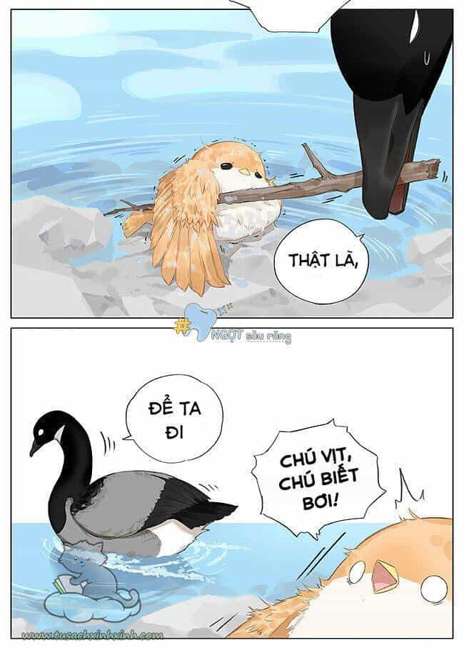 Chim Sẻ Gọi Ngỗng Trời - Chương 8 - ảnh 5