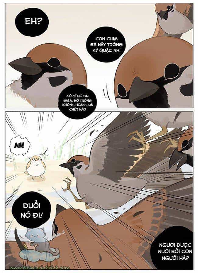 Chim Sẻ Gọi Ngỗng Trời - Chương 9 - ảnh 5