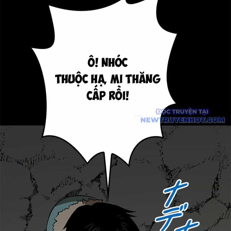 Chinh Phục Hầm Ngục Bằng Sao Chép Và Dán! - Chương 18 - ảnh 27