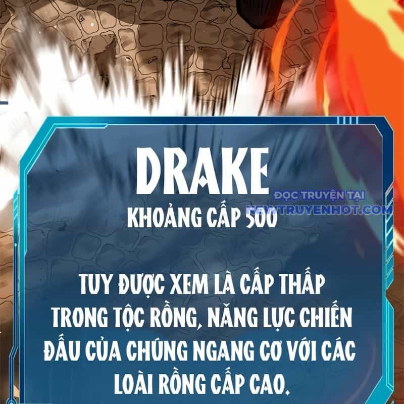 Chinh Phục Hầm Ngục Bằng Sao Chép Và Dán! - Chương 21 - ảnh 10