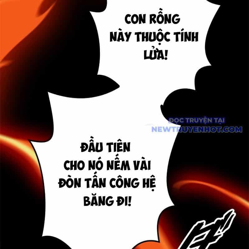 Chinh Phục Hầm Ngục Bằng Sao Chép Và Dán! - Chương 21 - ảnh 13