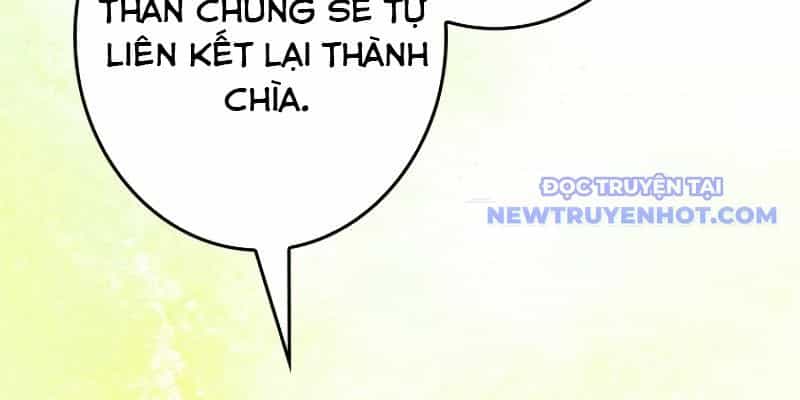 Chinh Phục Hầm Ngục Bằng Sao Chép Và Dán! - Chương 21 - ảnh 356