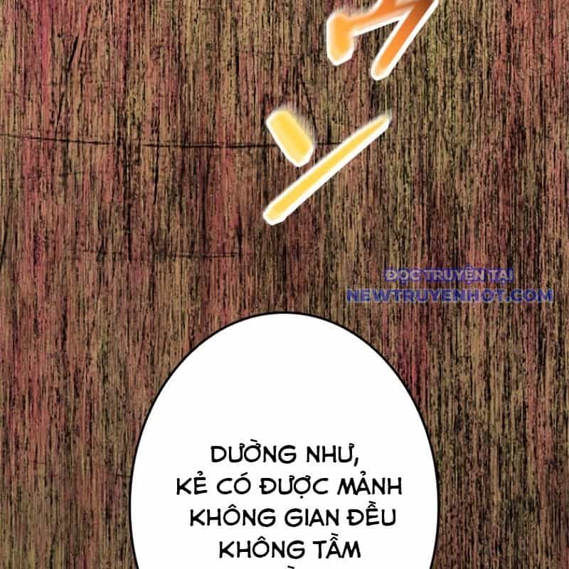 Chinh Phục Hầm Ngục Bằng Sao Chép Và Dán! - Chương 21 - ảnh 368