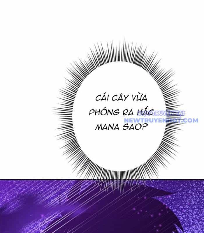 Chinh Phục Hầm Ngục Bằng Sao Chép Và Dán! - Chương 25 - ảnh 177
