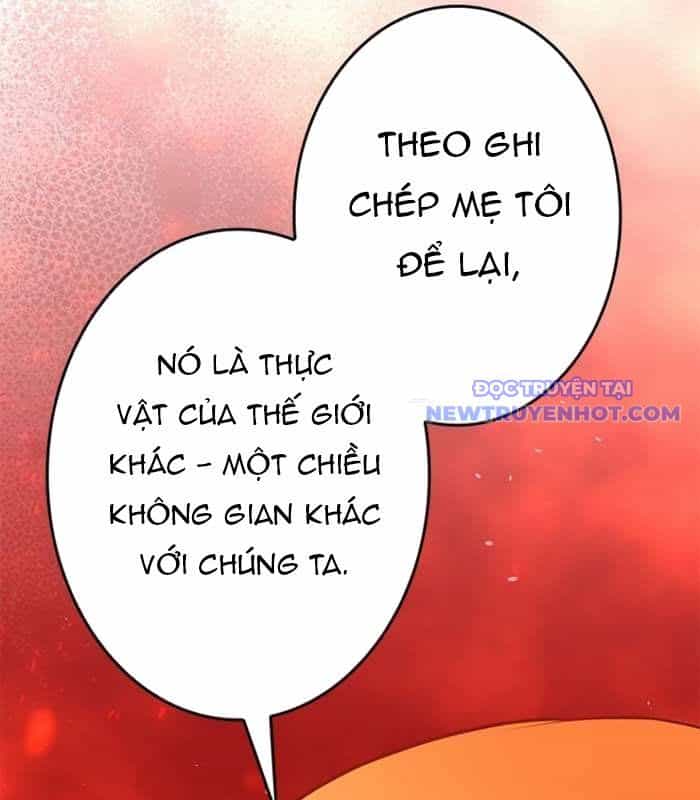 Chinh Phục Hầm Ngục Bằng Sao Chép Và Dán! - Chương 25 - ảnh 224