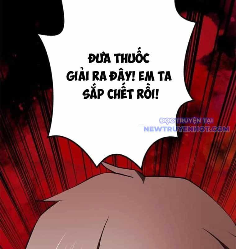 Chinh Phục Hầm Ngục Bằng Sao Chép Và Dán! - Chương 27 - ảnh 255