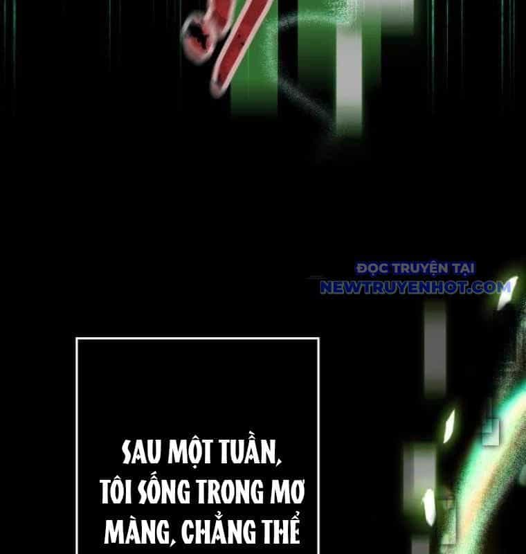 Chinh Phục Hầm Ngục Bằng Sao Chép Và Dán! - Chương 28 - ảnh 214