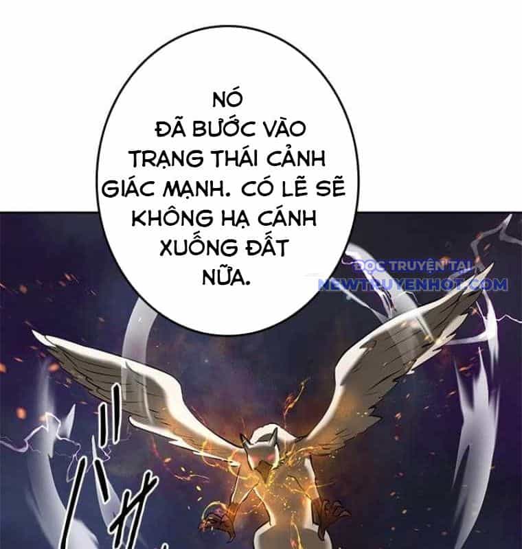 Chinh Phục Hầm Ngục Bằng Sao Chép Và Dán! - Chương 31 - ảnh 158