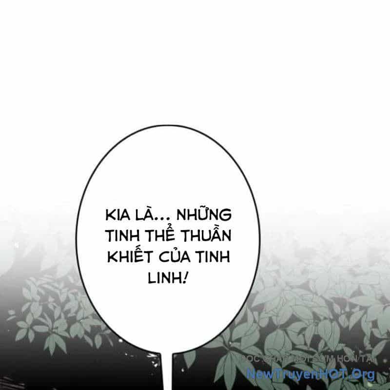 Chinh Phục Hầm Ngục Bằng Sao Chép Và Dán! - Chương 58 - ảnh 113