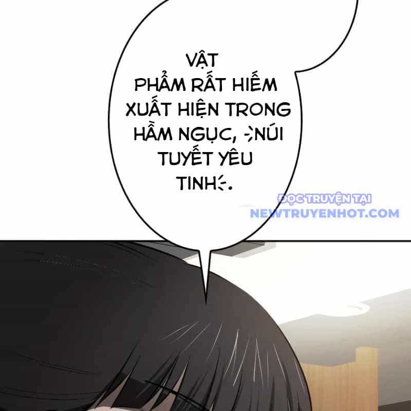 Chinh Phục Hầm Ngục Bằng Sao Chép Và Dán! - Chương 8 - ảnh 206