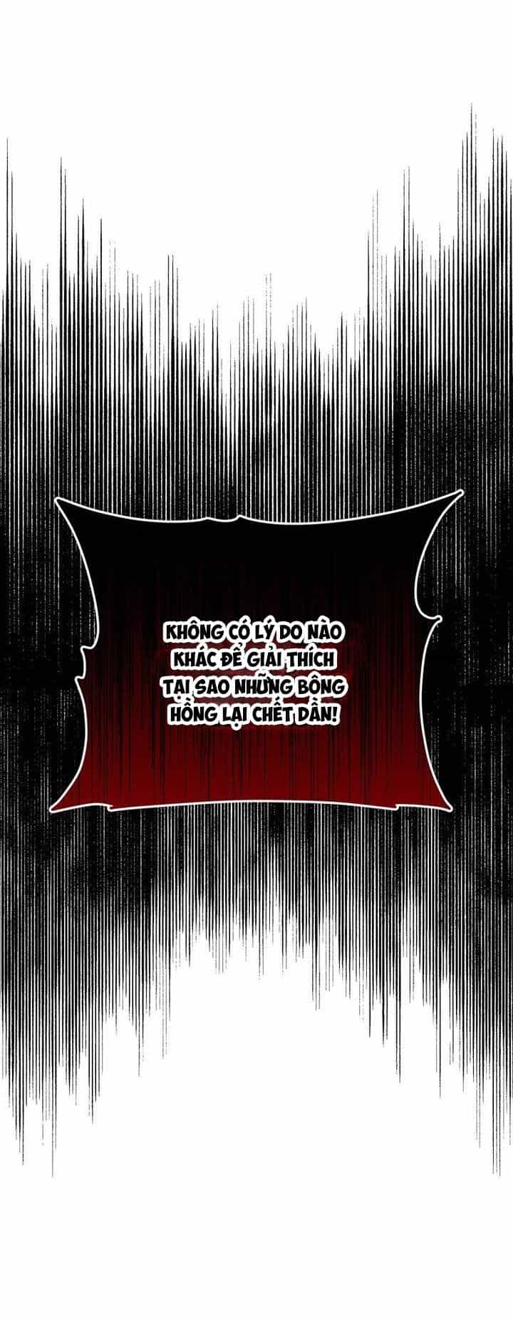 Cho Đến Khi Nữ Chính Thực Sự Xuất Hiện - Chương 34 - ảnh 3