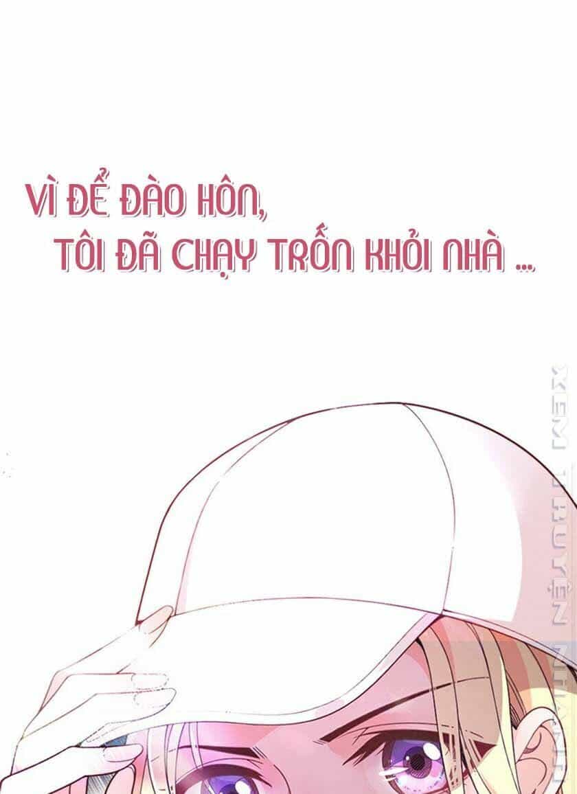Chọc Phải Điện Hạ Yêu Nghiệt - Chương 0 - ảnh 3